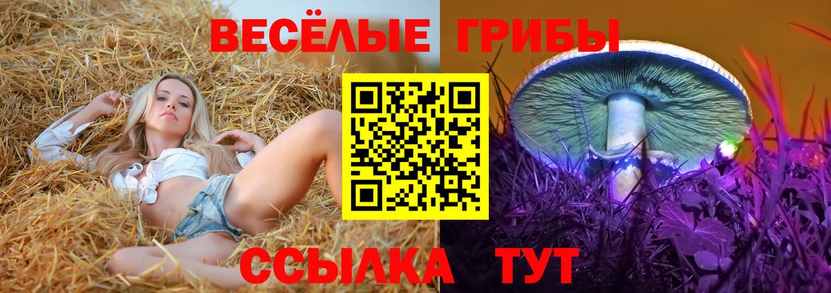 Псилоцибиновые грибы прущие грибы Еманжелинск